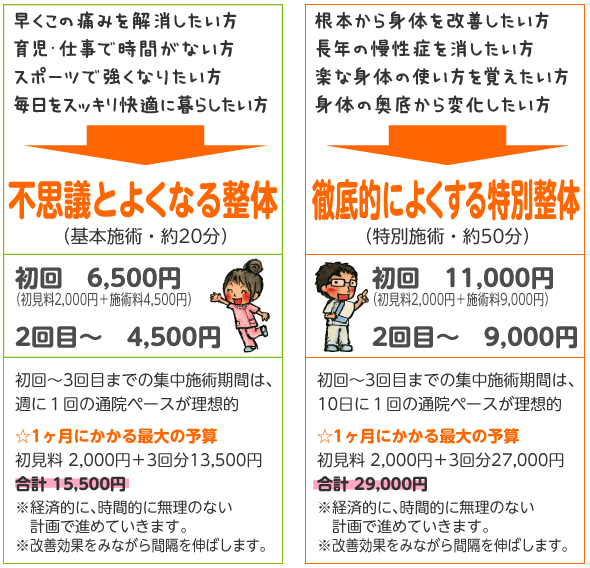 整体の料金・コース